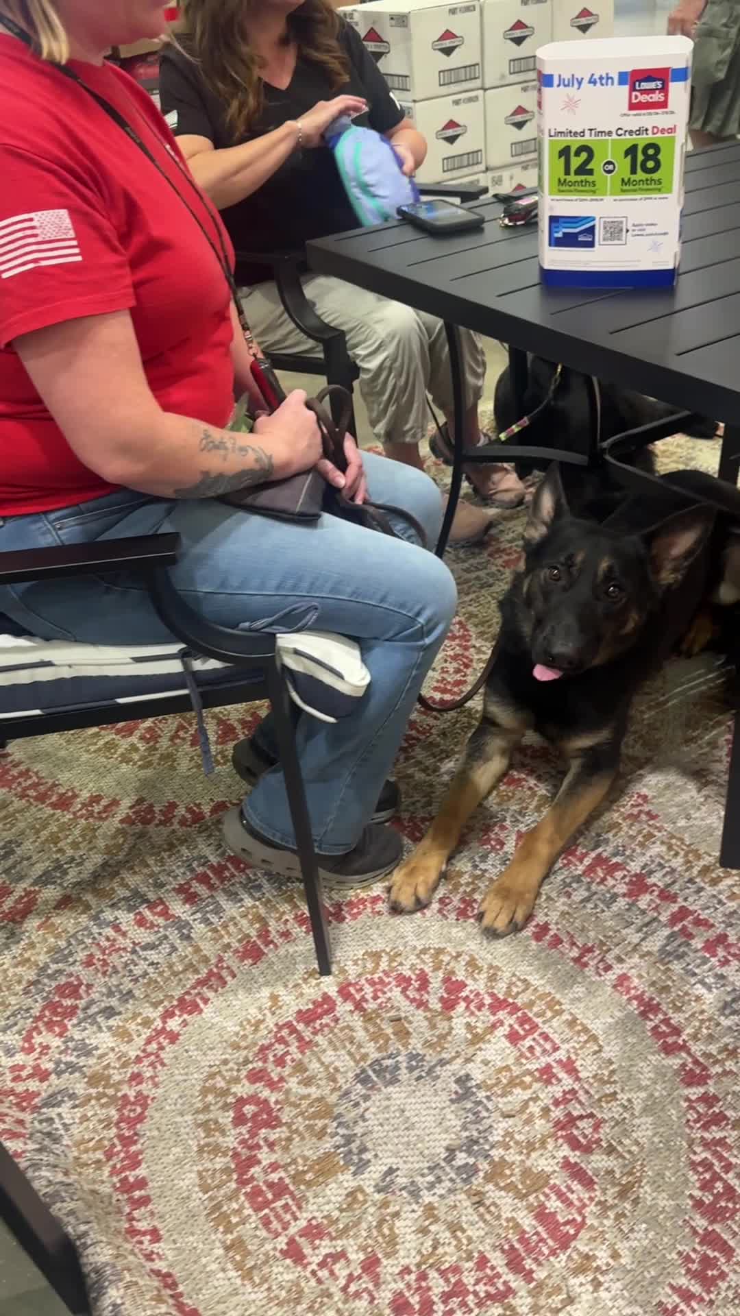 @Protection Dog Sales