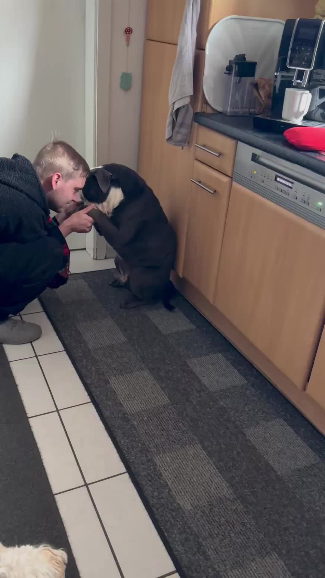 @Kalle 🐕