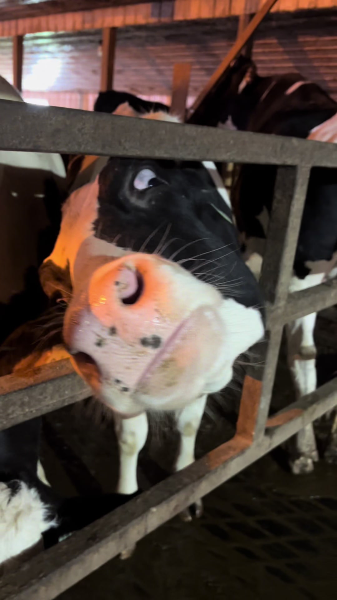 @RedOakAcres