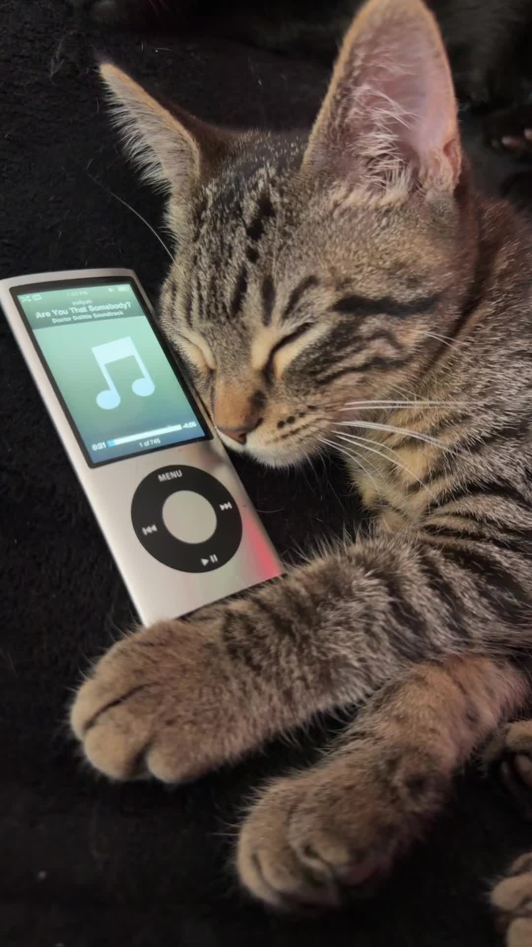 @og.ipod.nostalgia