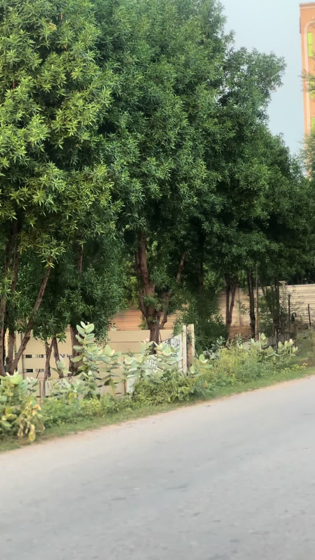 @کھرل  ہارس مین شپ کلب ڈنگہ