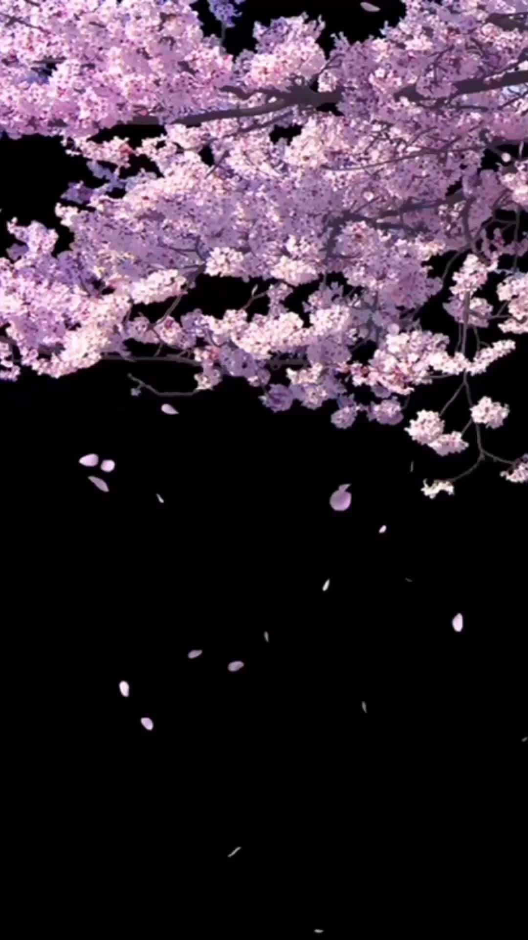 @M Musical