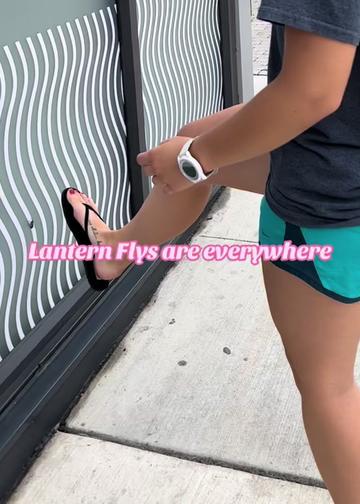 @StampingStarlets