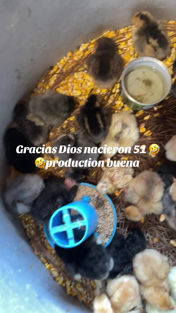 @Hernández 🥰🥰