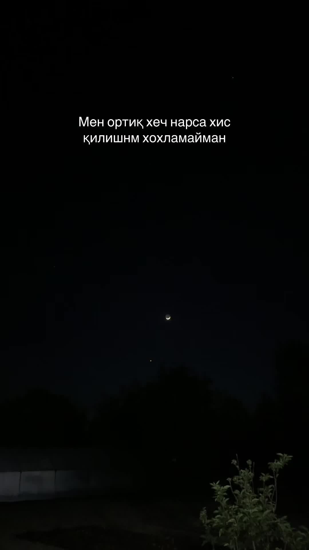 @Февраллик🩵