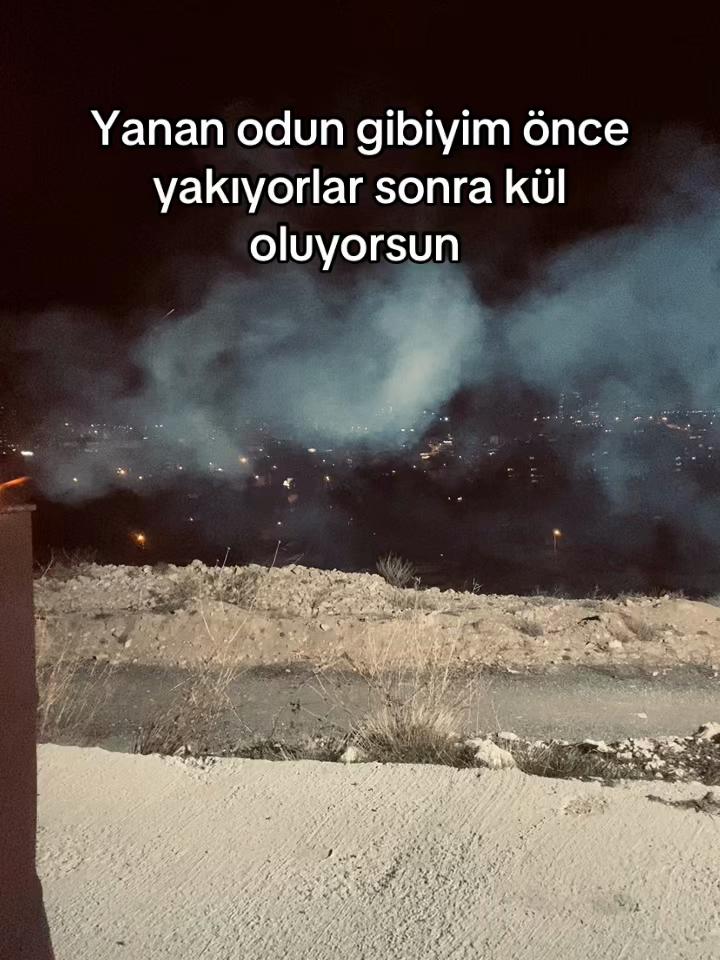 @Asal