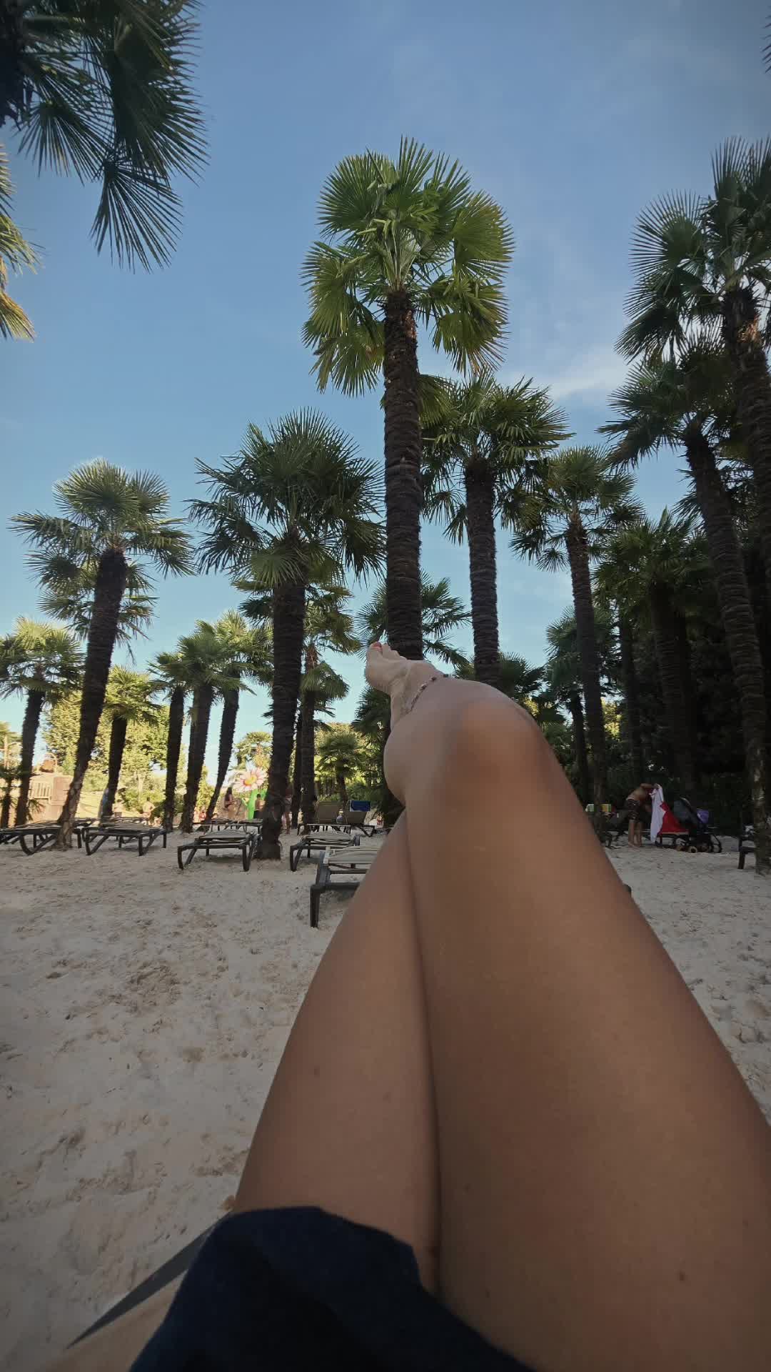 @ank_andreescu867