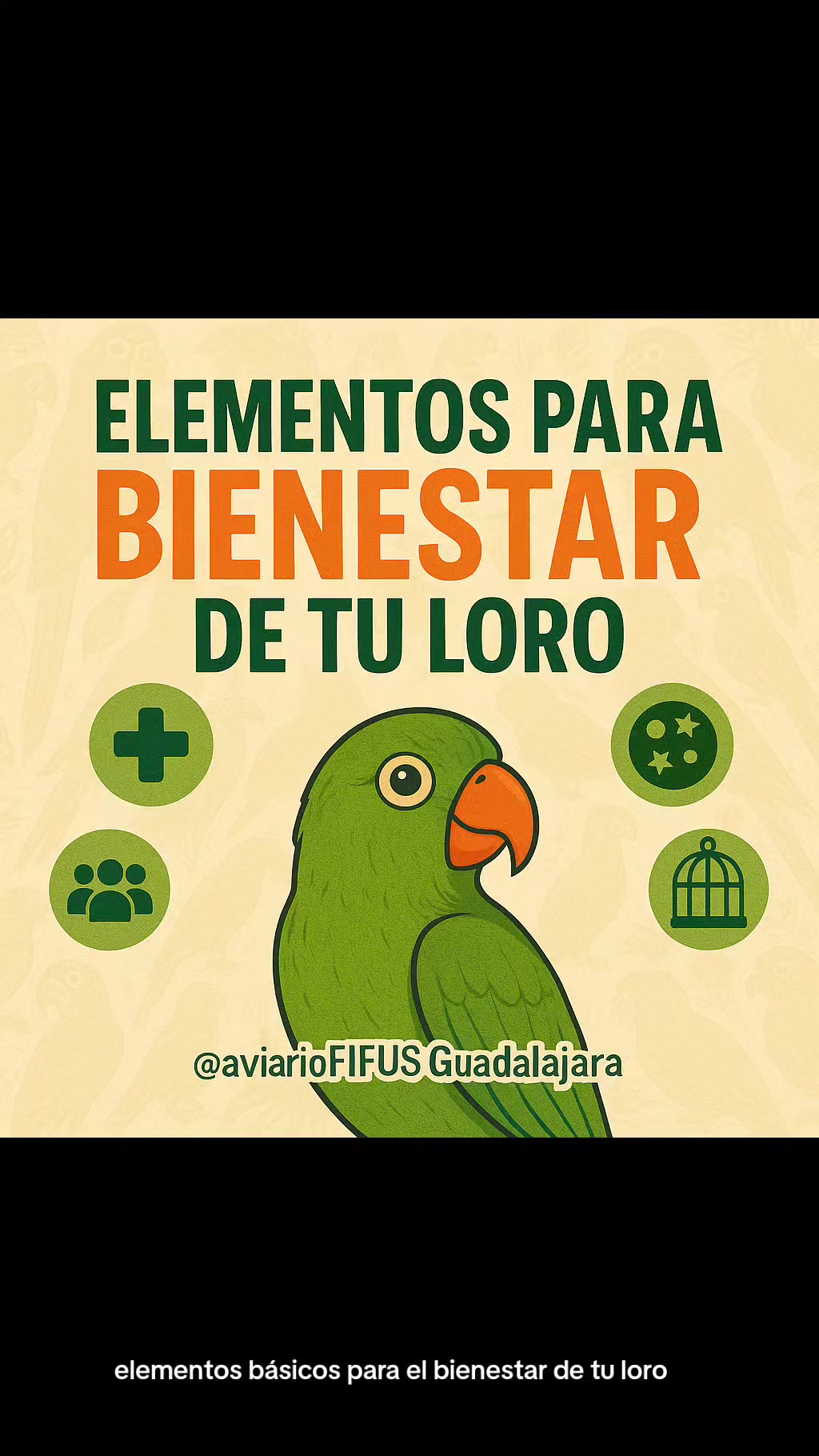 @Aviario FIFUS Guadalajara