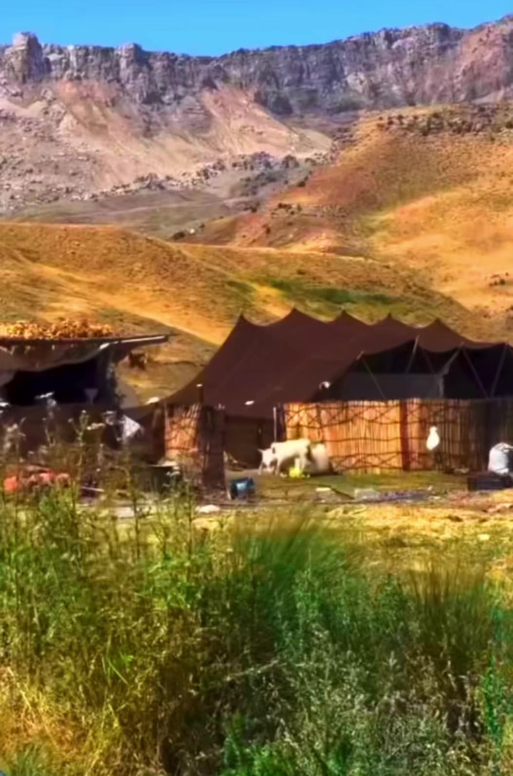 @ŞİYAR ✪