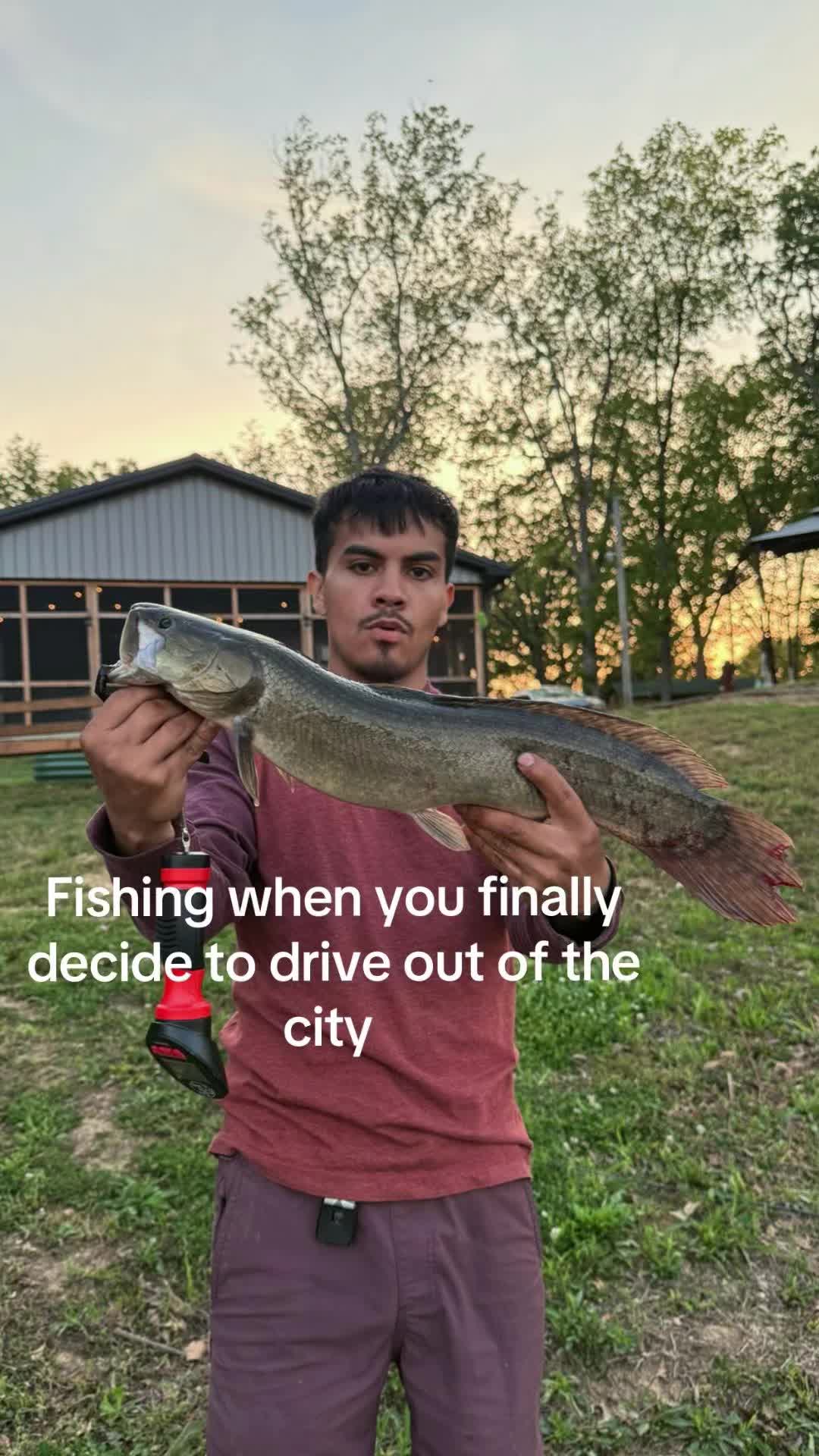 @Cujo Catches