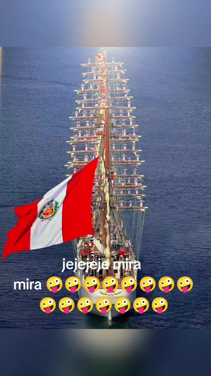 @cat3516