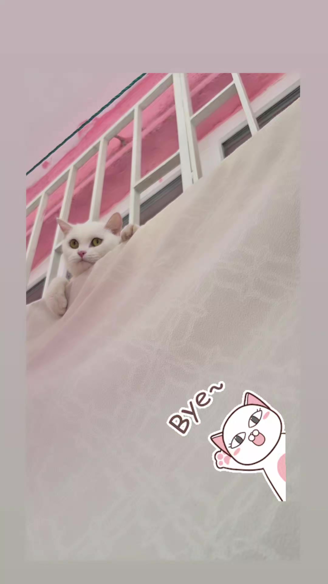 @Gökyüzüm💫