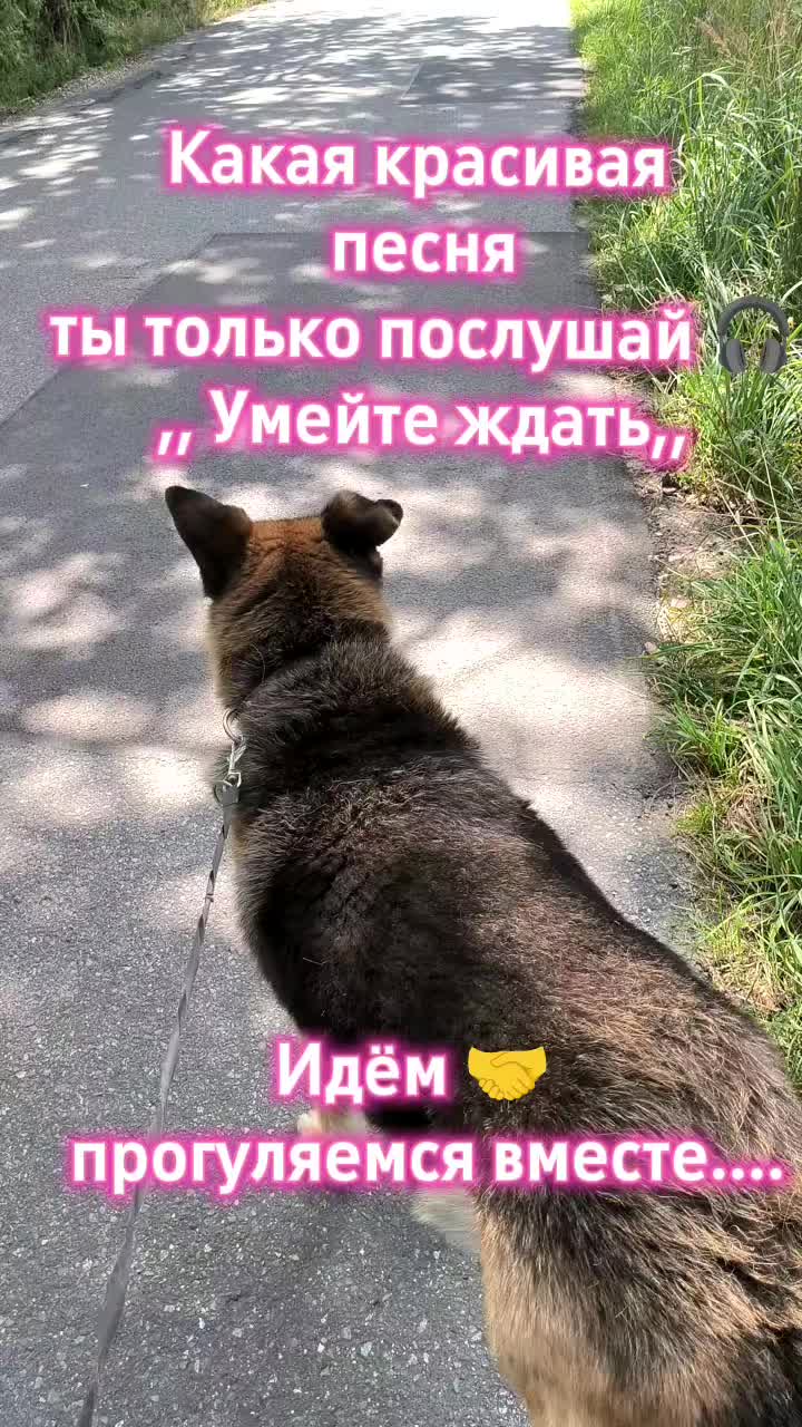 @Женя Нарочная