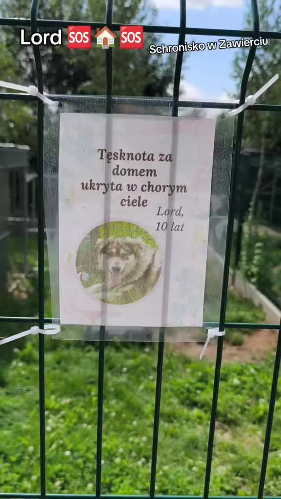 @Bezdomniaki_ze_śląska