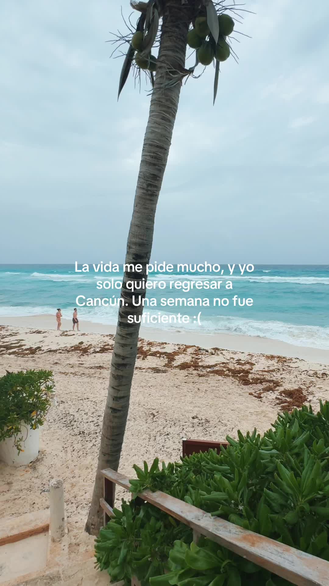 @ValentinaLewensztain