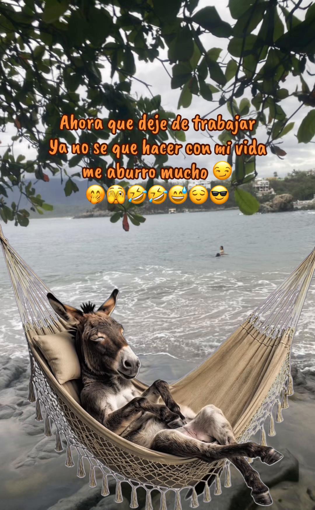 @Alicia Jacobo 📿🍀🤍