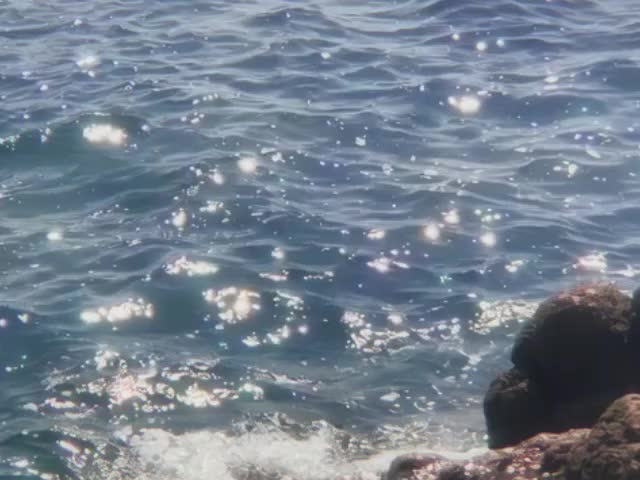 @𝘿𝙄𝙂𝙄𝙏𝘼𝙇𝙄𝙎