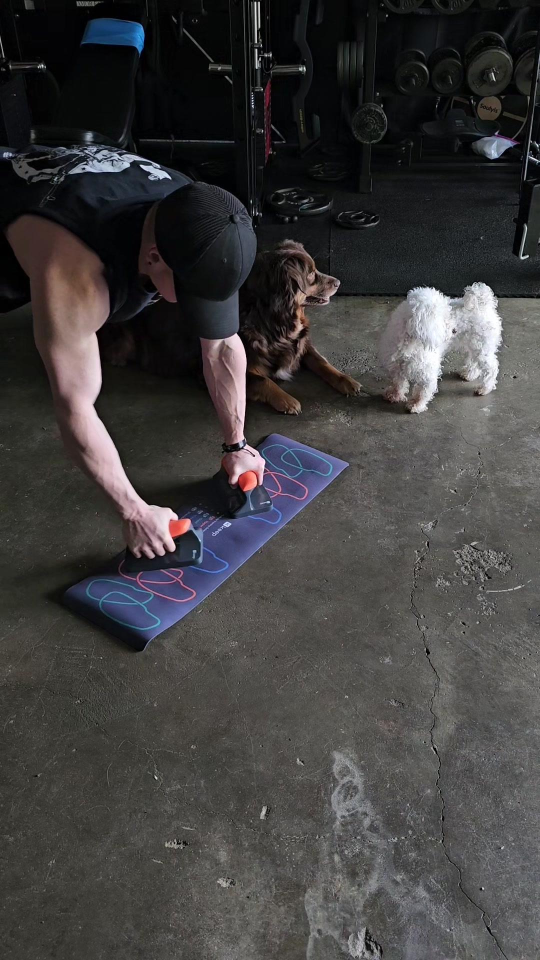 @GainzNGames