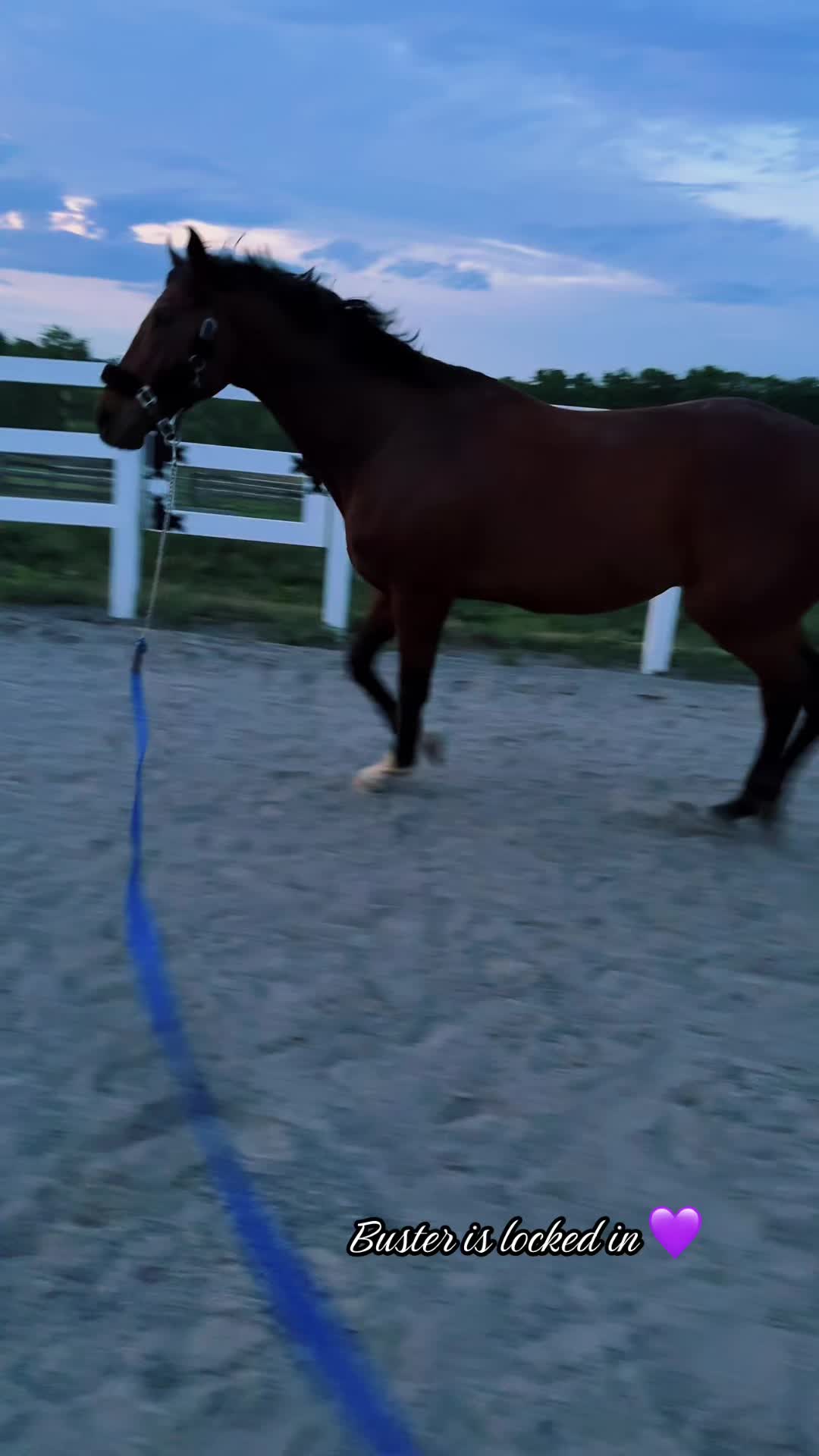 @Danigurl🦮🏇🌅🏳️&zwj;🌈