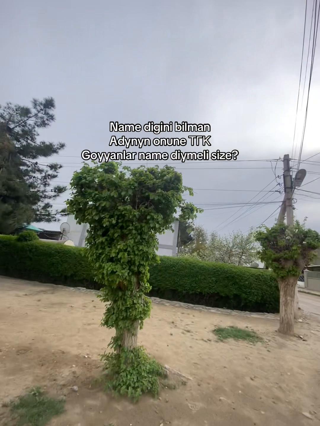 @𝓡𝓮𝓼𝓾𝓵𝓸𝓿_ 