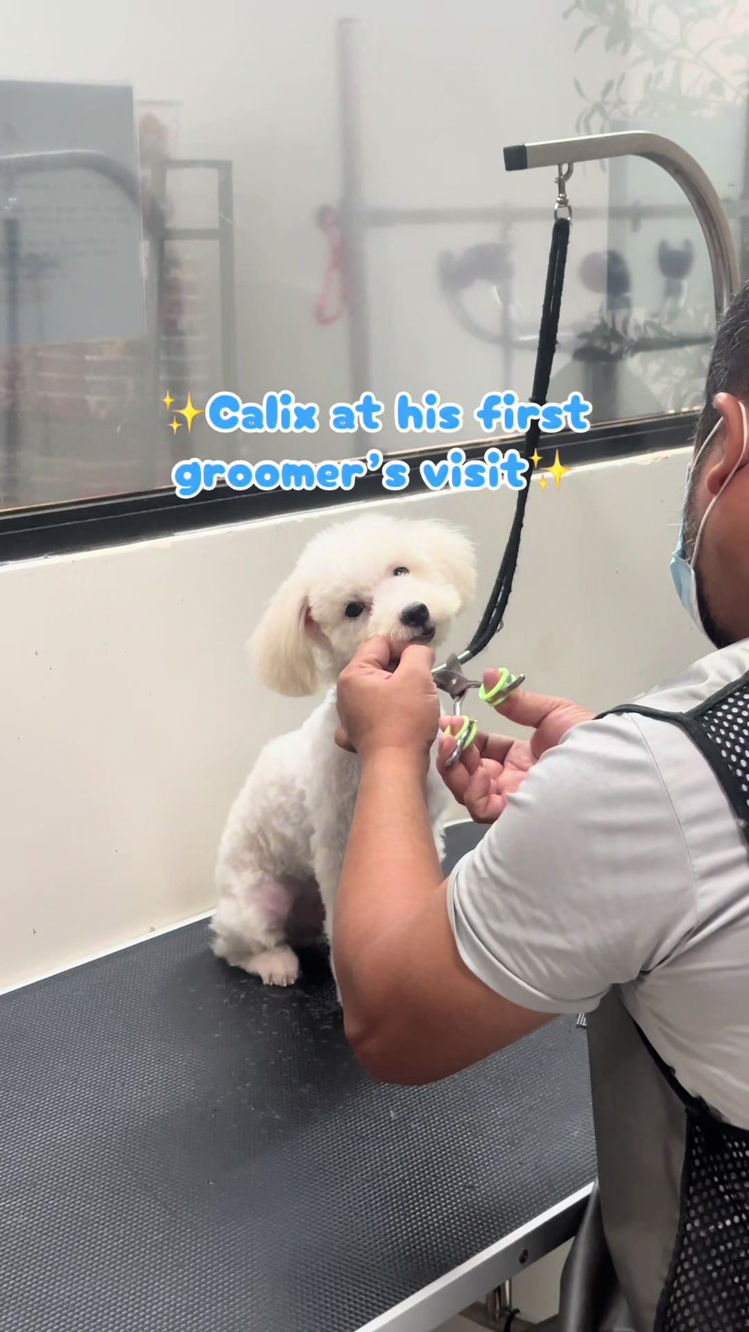 @petlanecebu