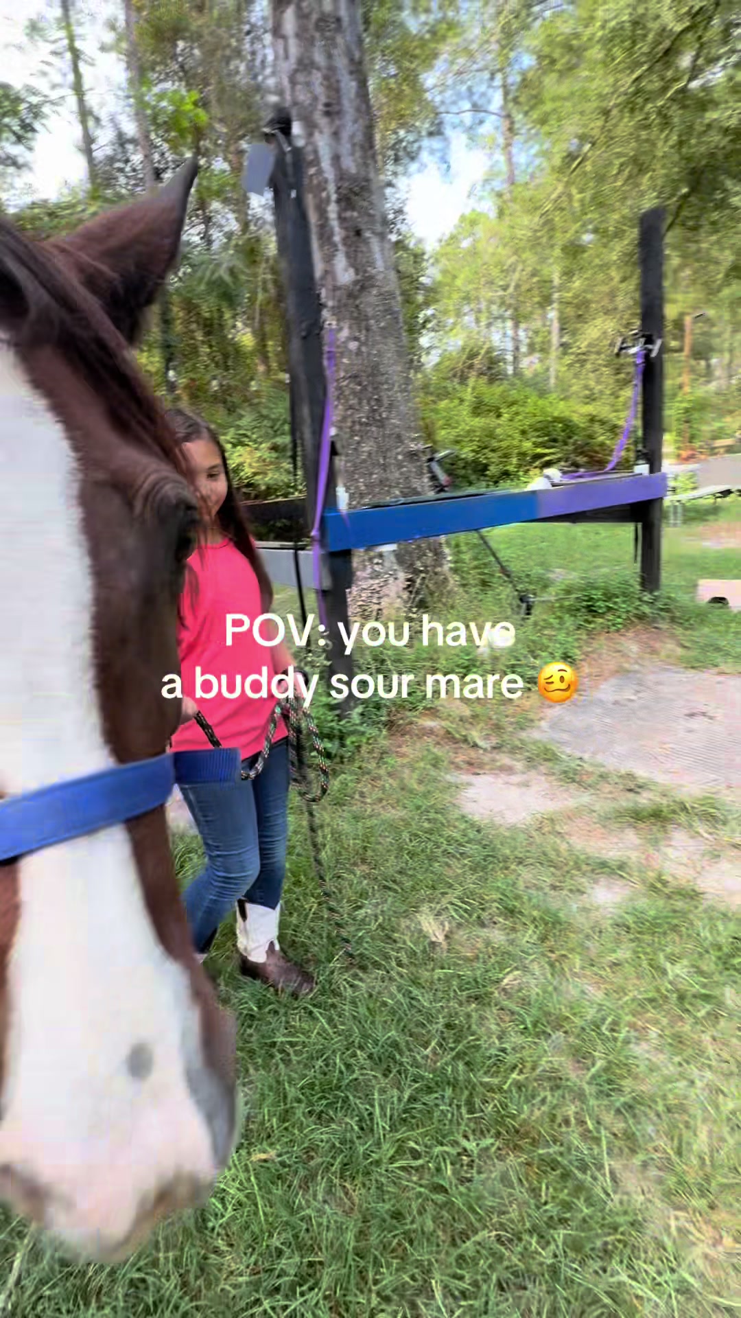@🐎 Coach CeeJae