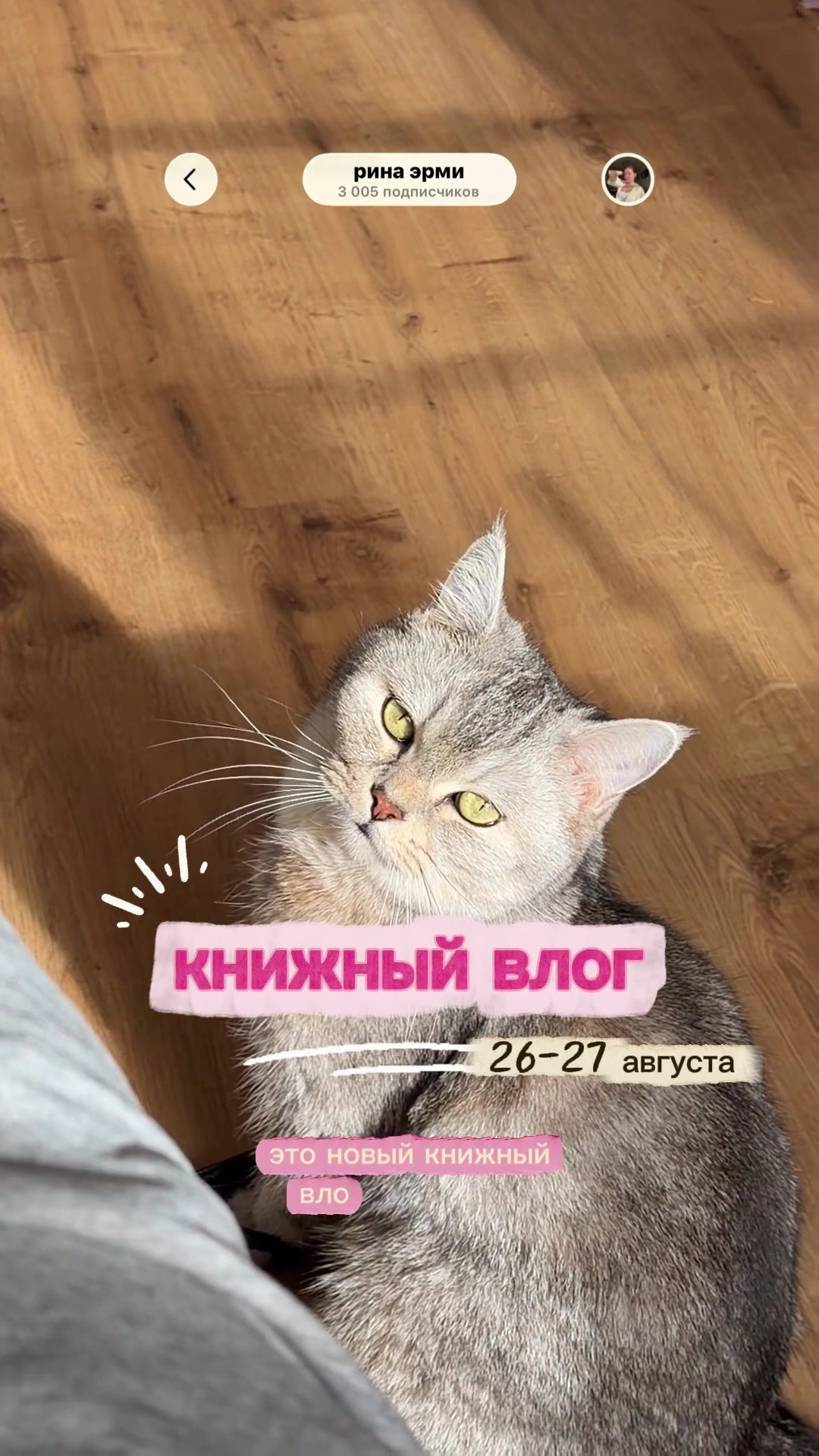 @📚тгк: рина эрми
