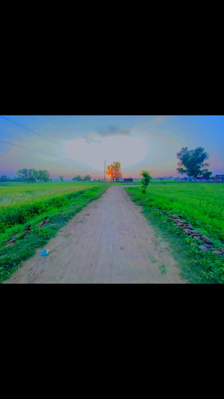 @🎋پنجاب🌿