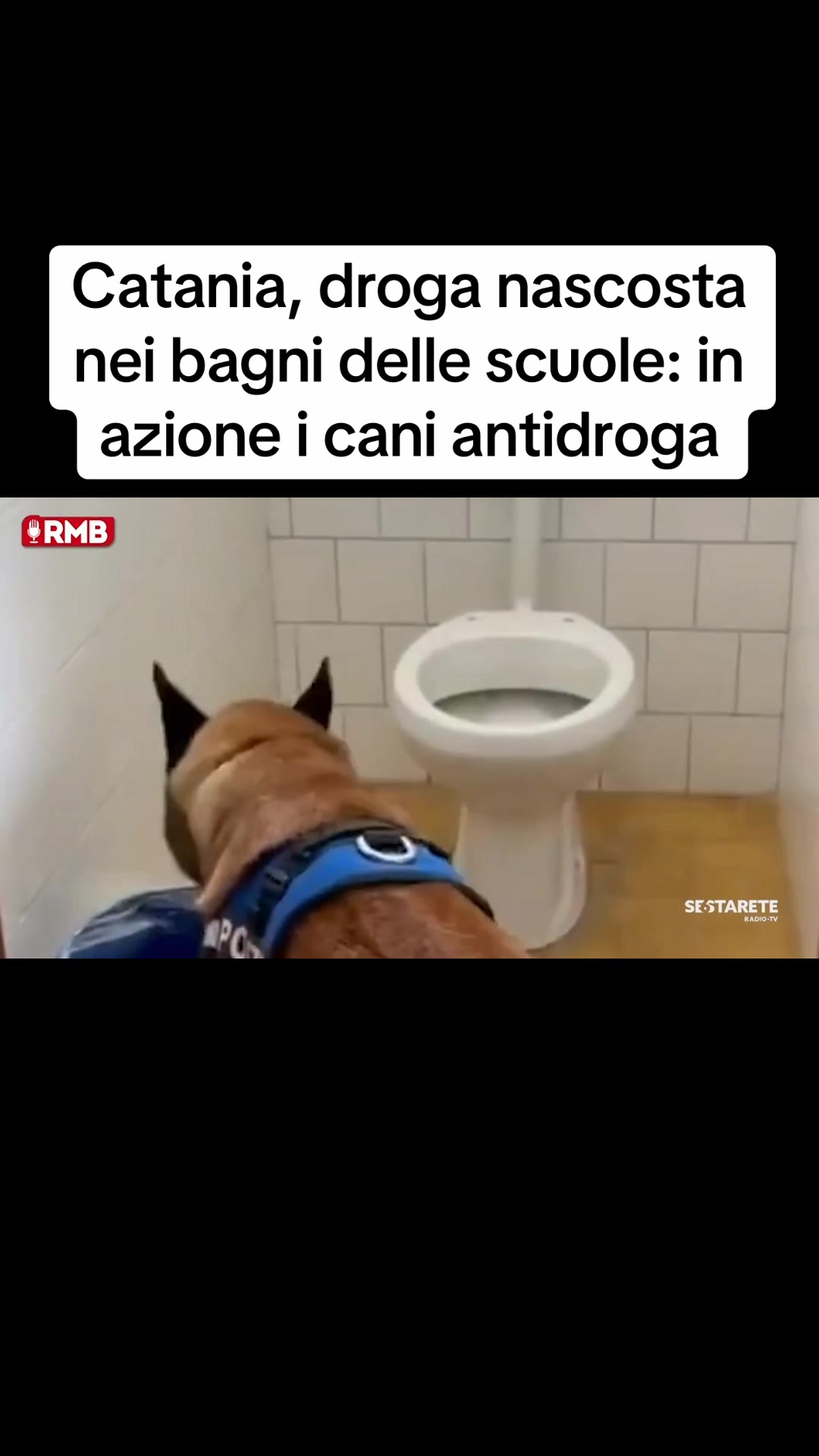 @Edoardo Picone | Giornalista