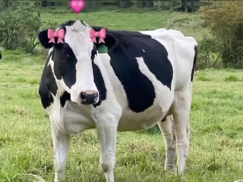 @ᥫ᭡𝐁𝐥𝐮𝐞˖⊹𝐆𝐢𝐫𝐥𝐬𐙚🩵