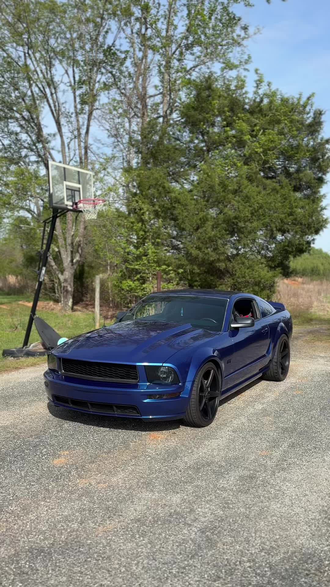 @Thatblutiful3v