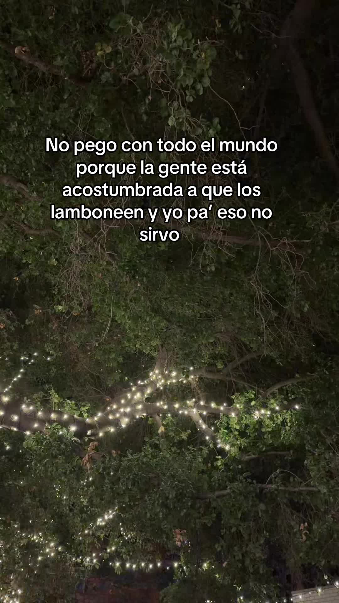 @fermqeoficial
