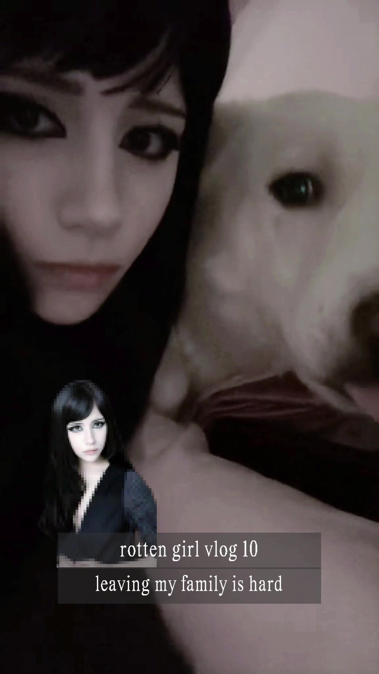 @kittymarrow