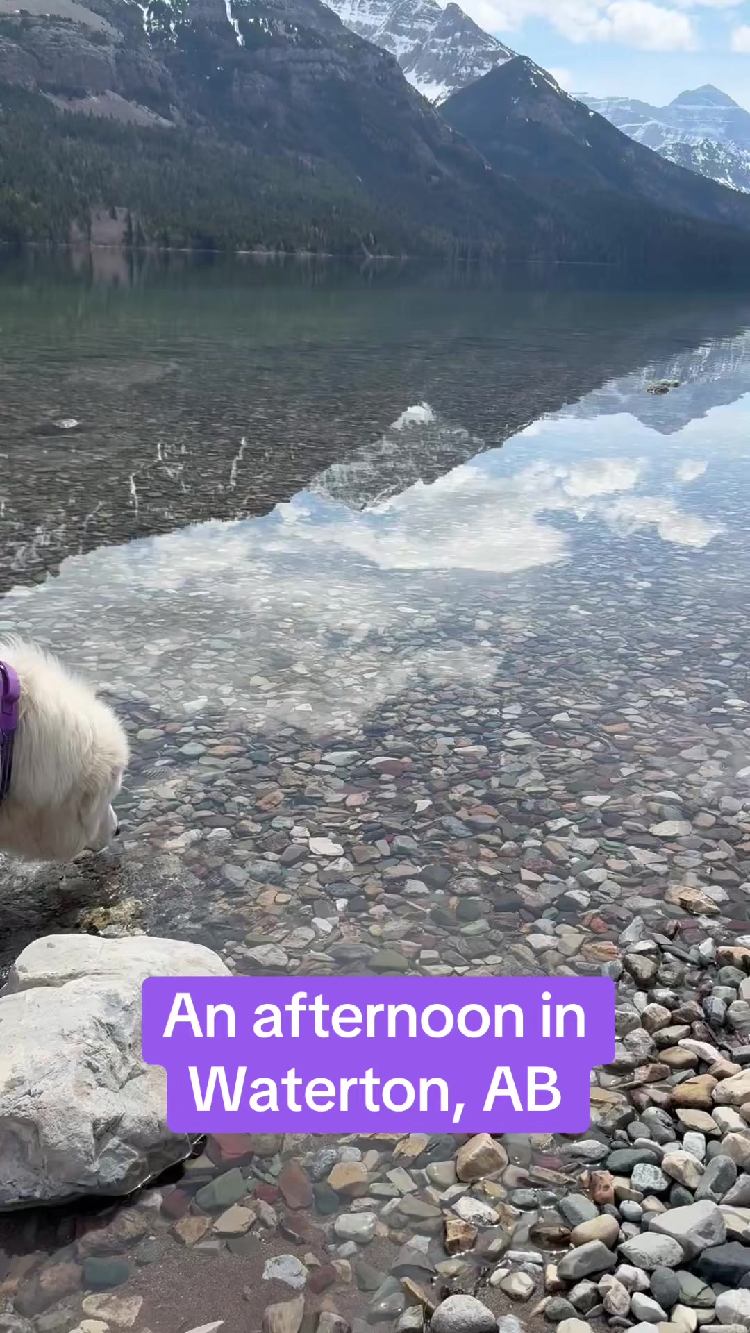 @Samantha