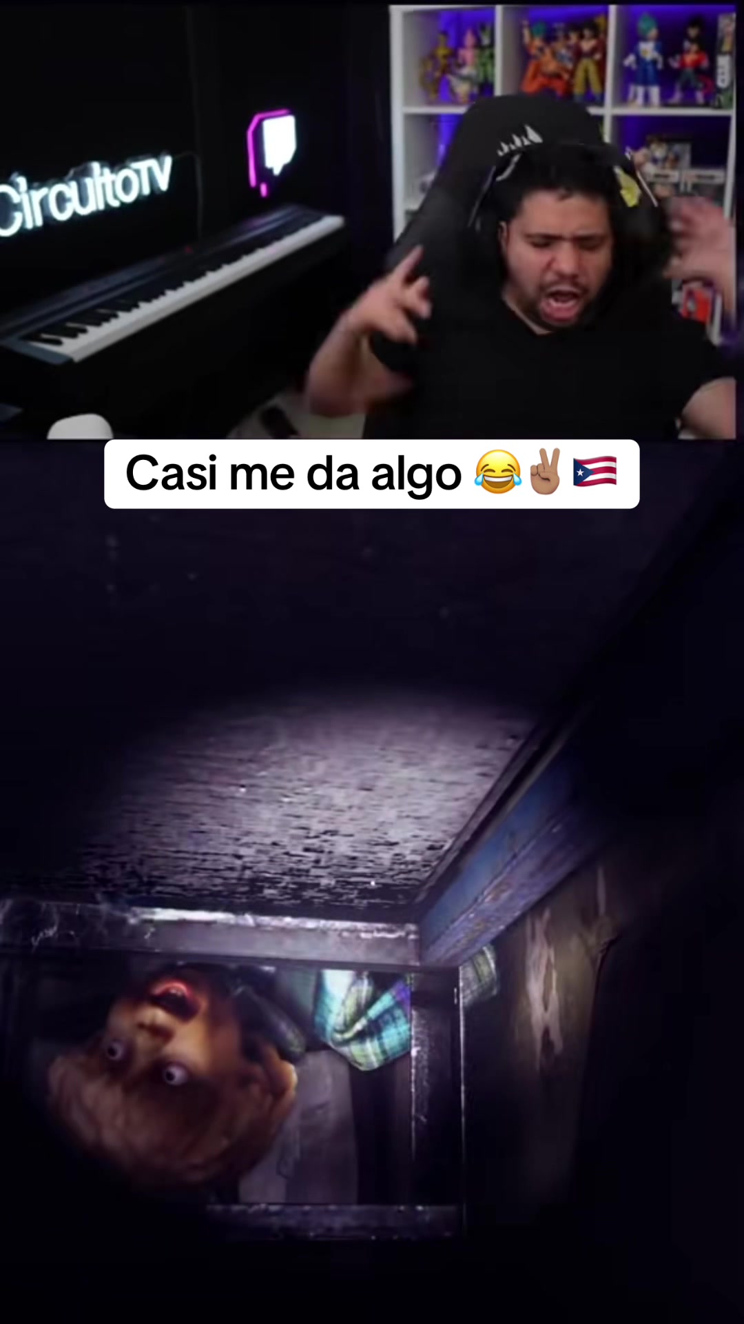 @Circuitotv