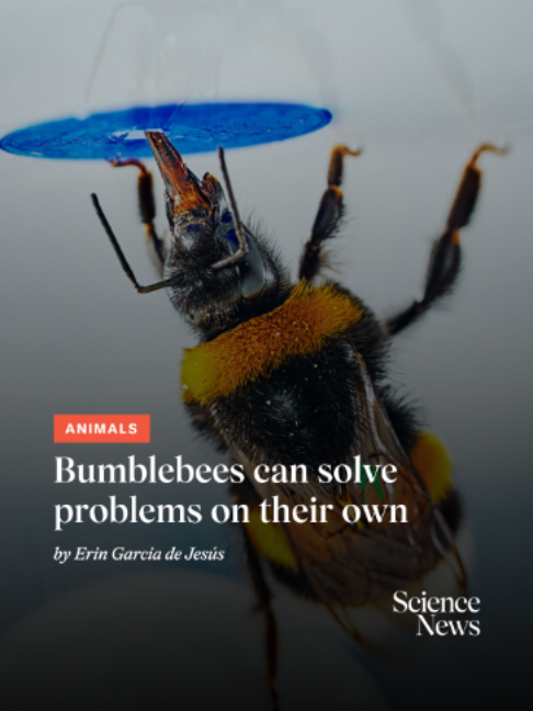 @Science News