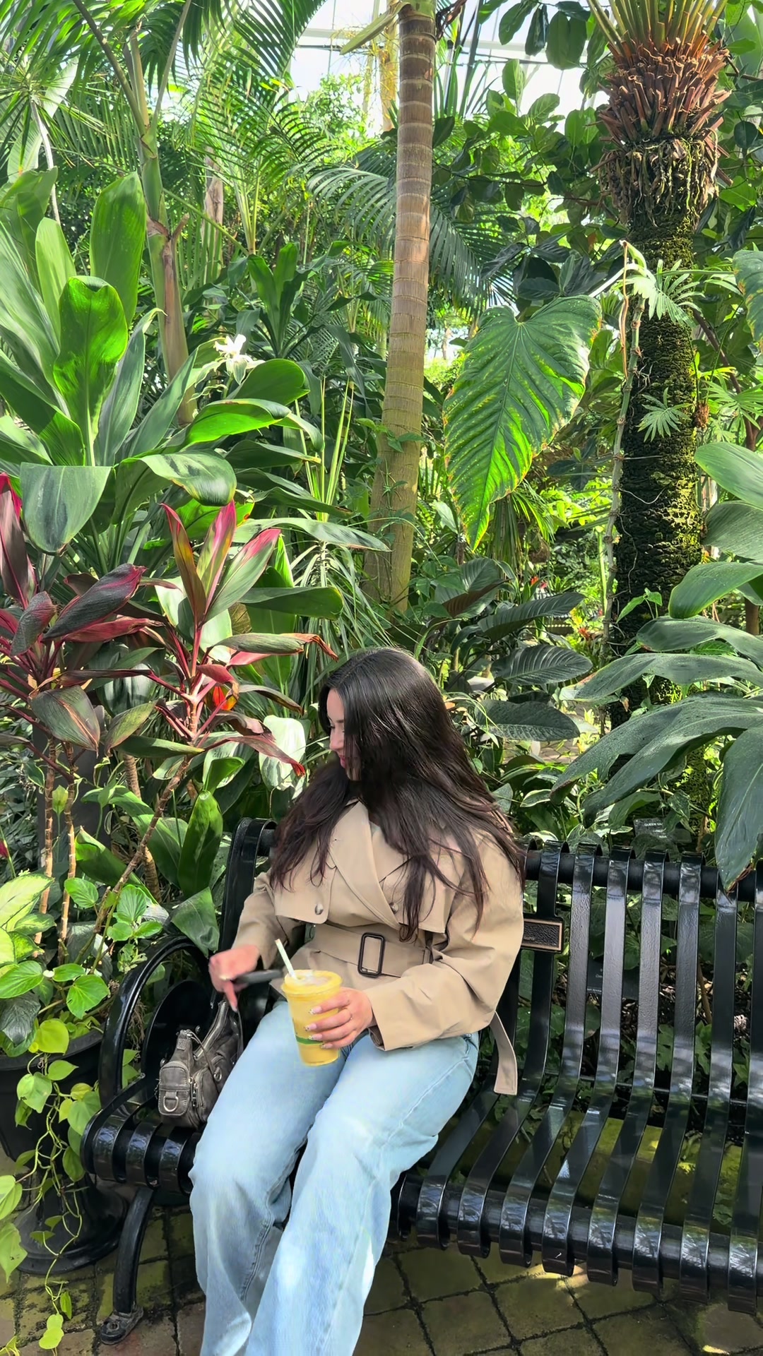 @Ahu&bull;₊&deg;✧︡♡