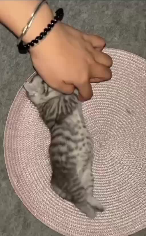 @кульный