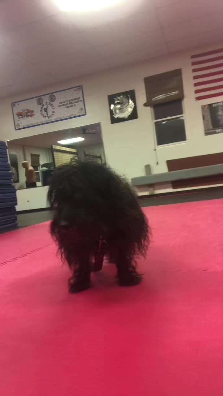 @linksmartialarts