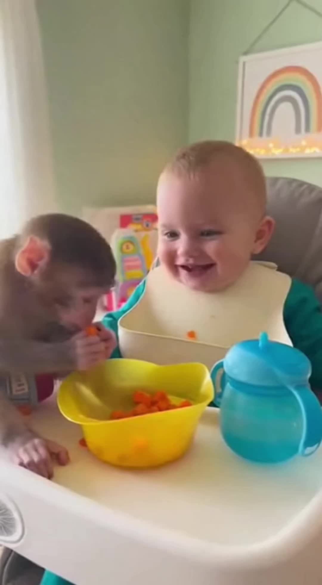 @monkeyfuntime