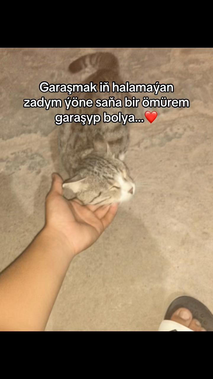 @𝗲𝗹𝗱𝘅𝗿_7