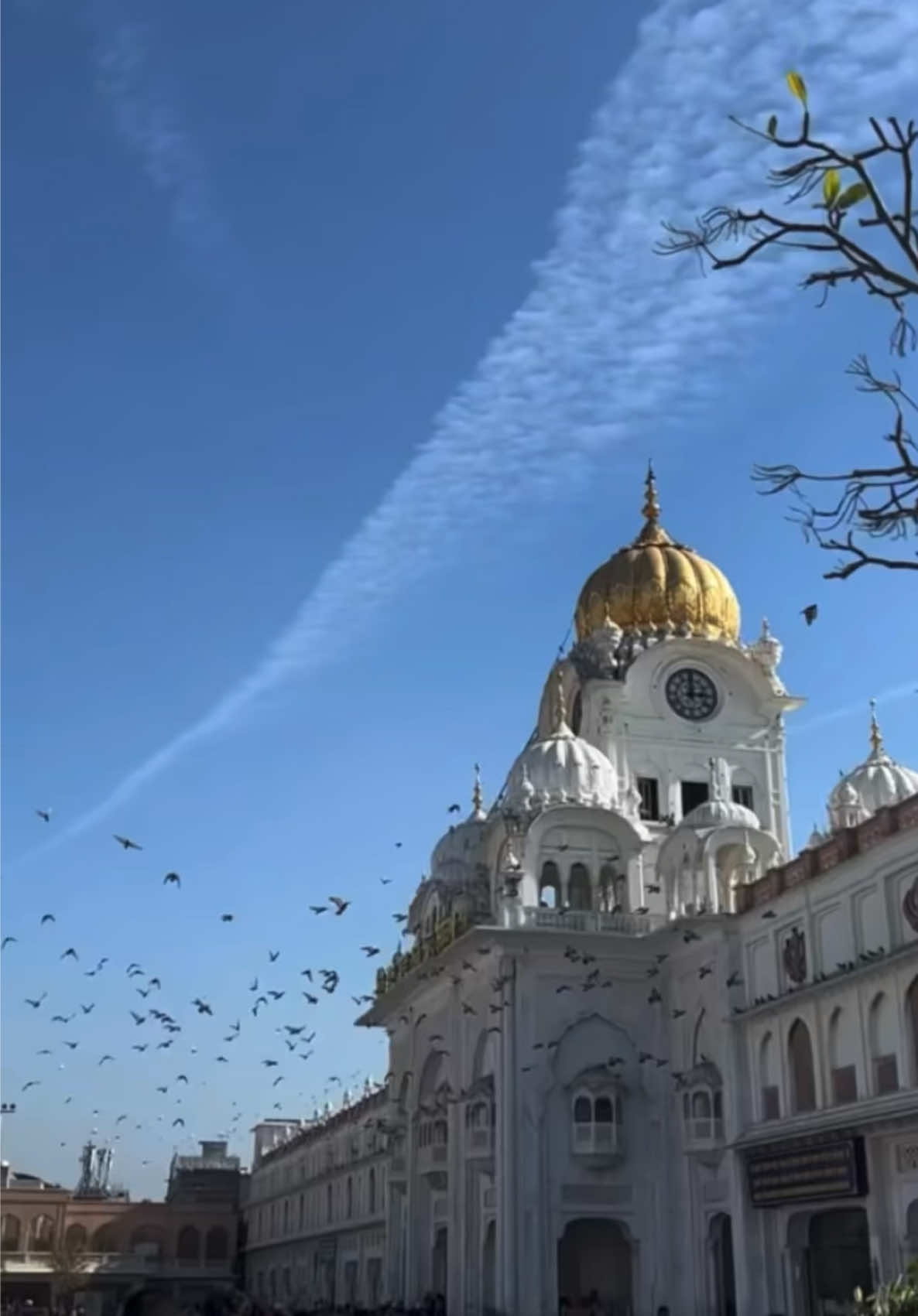 @Gurbani