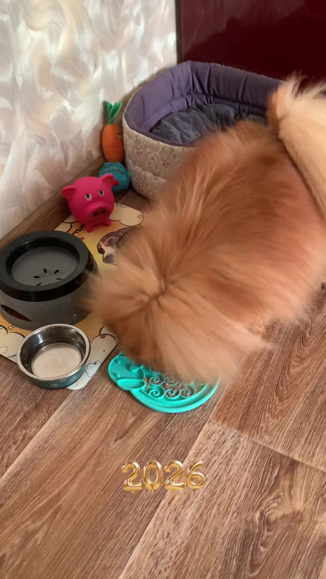 @Ирина Чижова