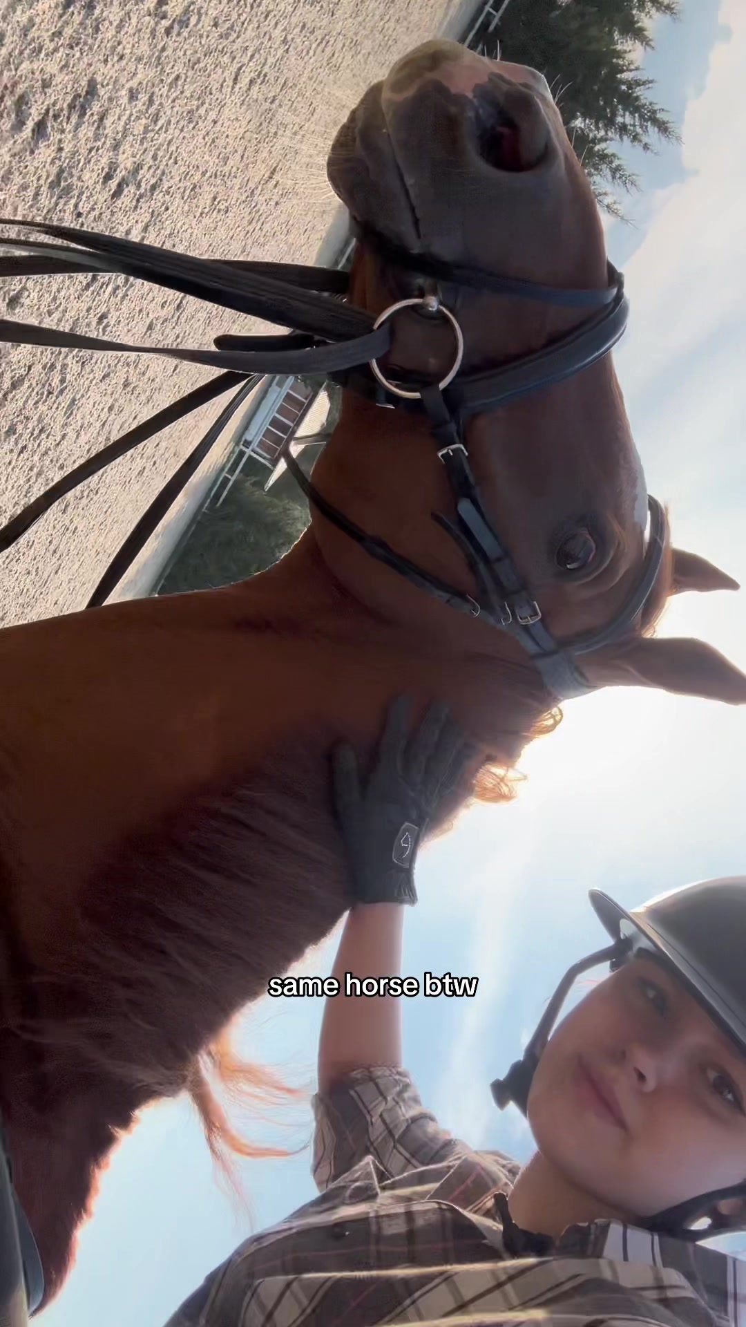 @Tгк:Margarita equestrian