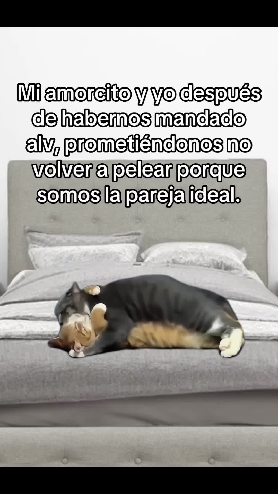 @Joselyne🐼