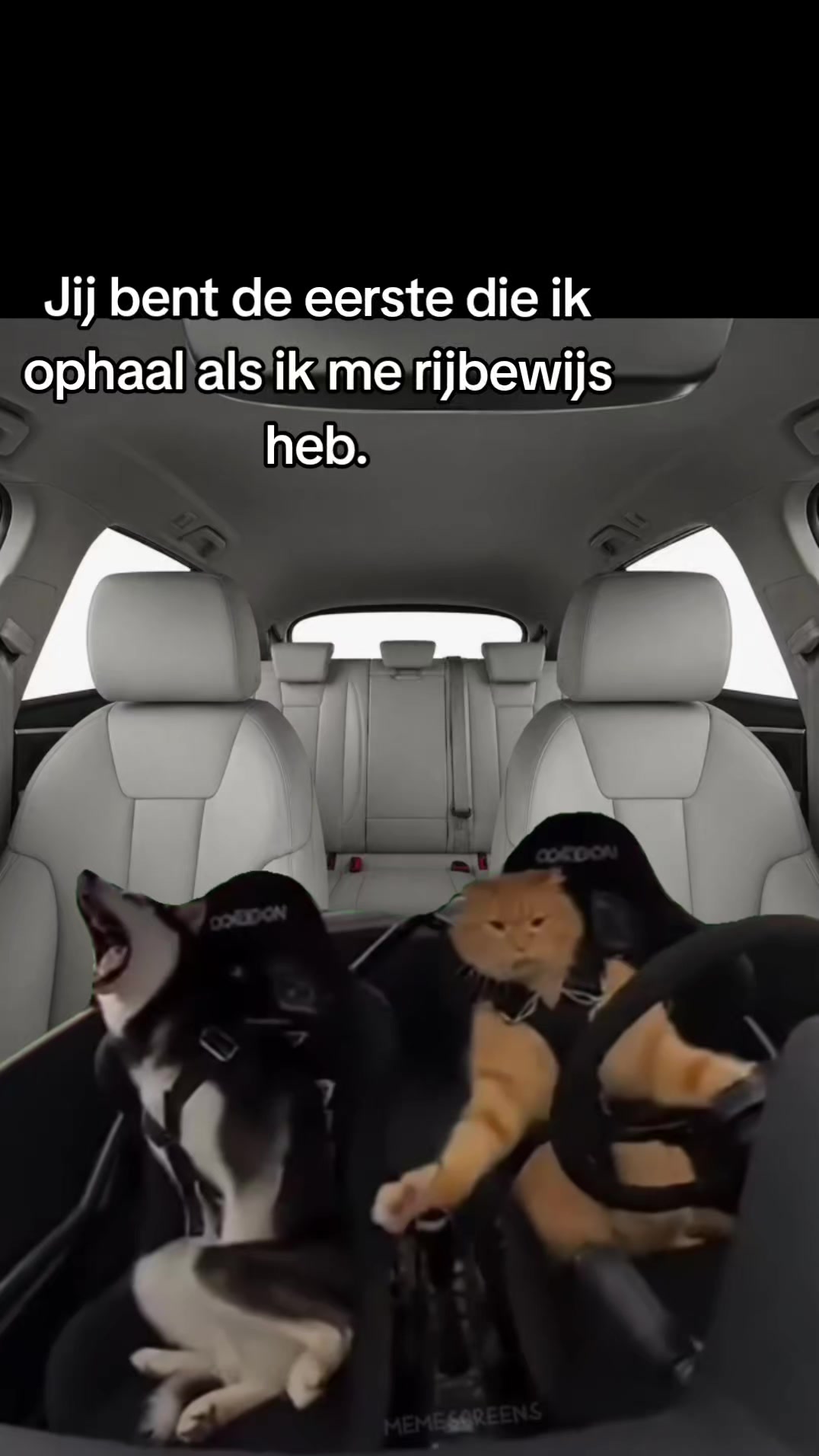 @🤣NOT_SURINAME🇸🇷🤣