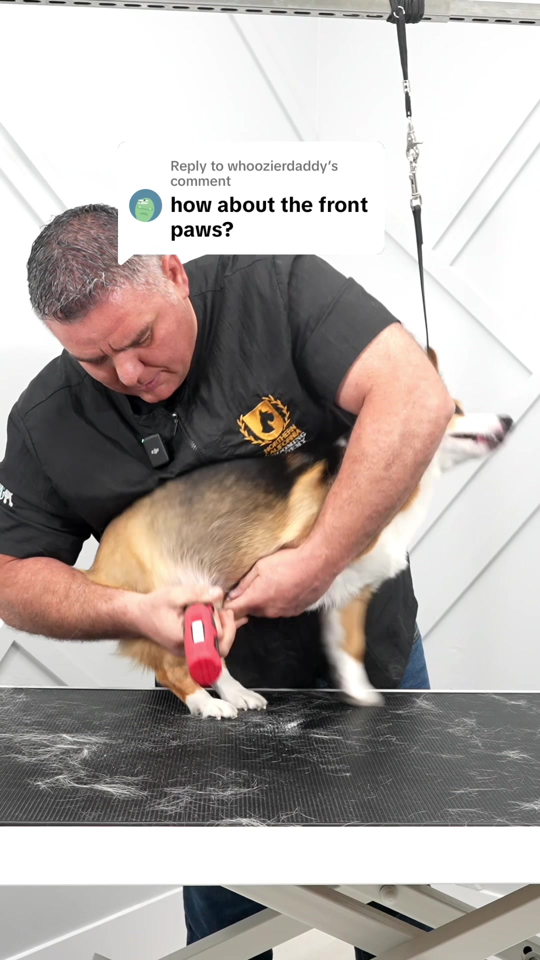 @NorCal Grooming Academy