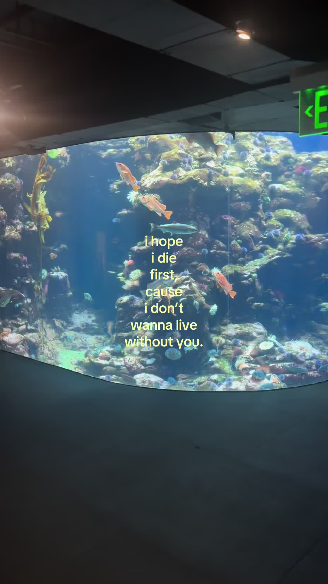 @𝓋𝒶𝓃𝒾𝓁𝒶🤫🌊