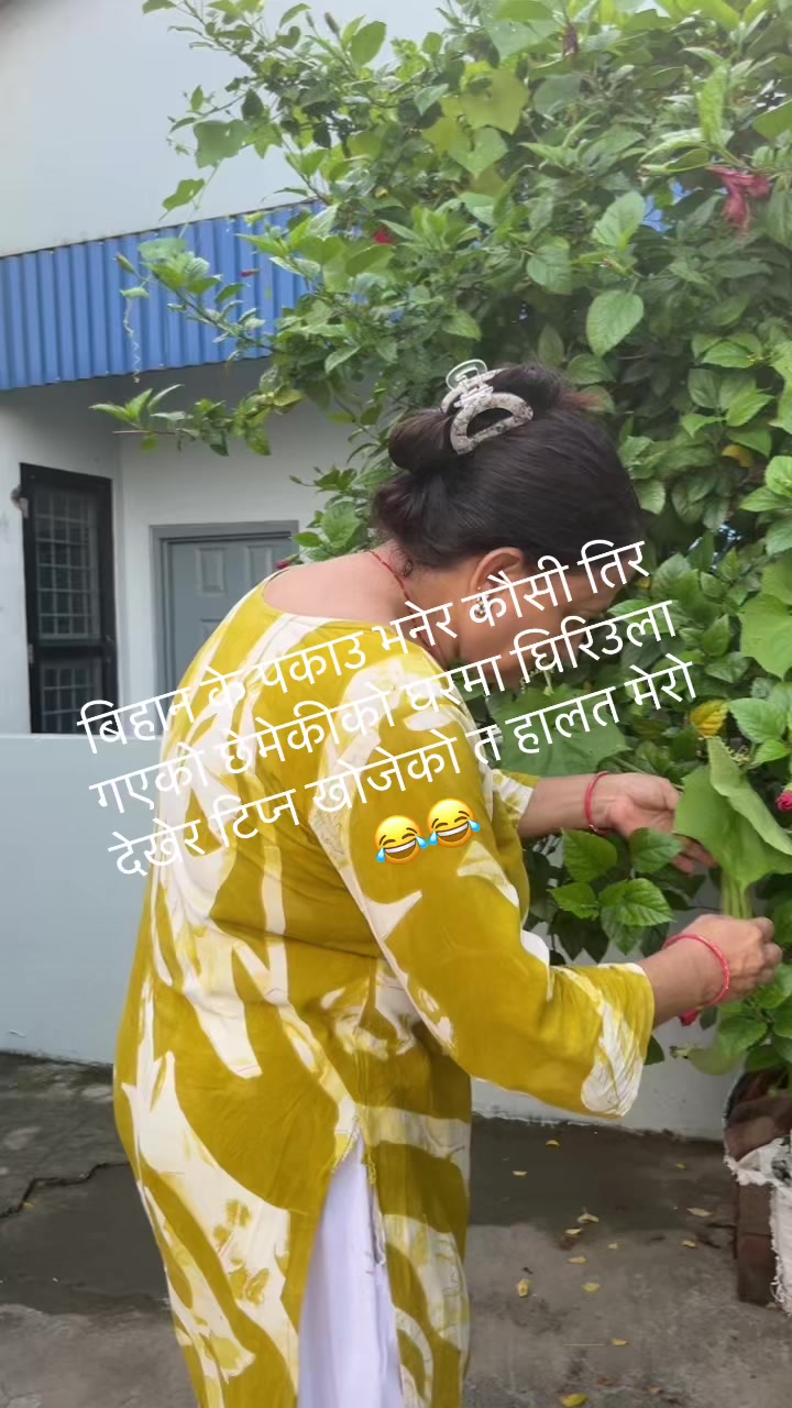 @Yashoda kharel