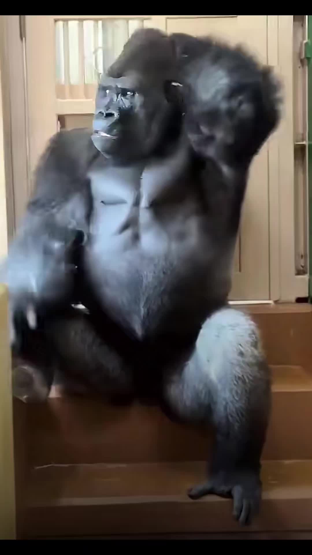 @RAMIREZB9